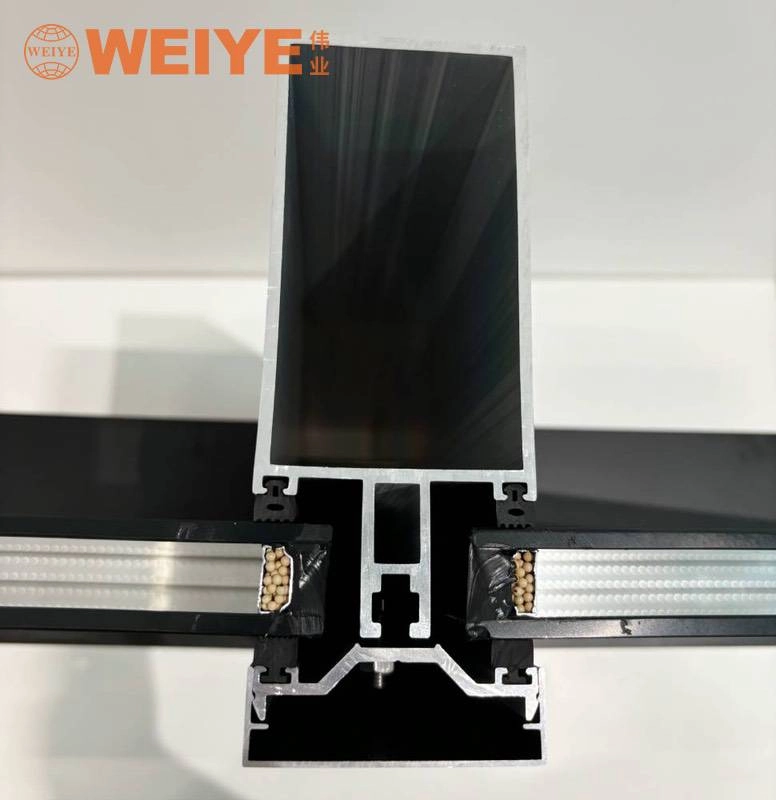 180 Visible Frame Hollow Glass Curtain Wall-Section
